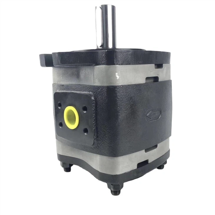 IPVAP5 Germany IPV IPVAP 5-50-101 Series Hydraulic Internal Gear Pump Oil Pump