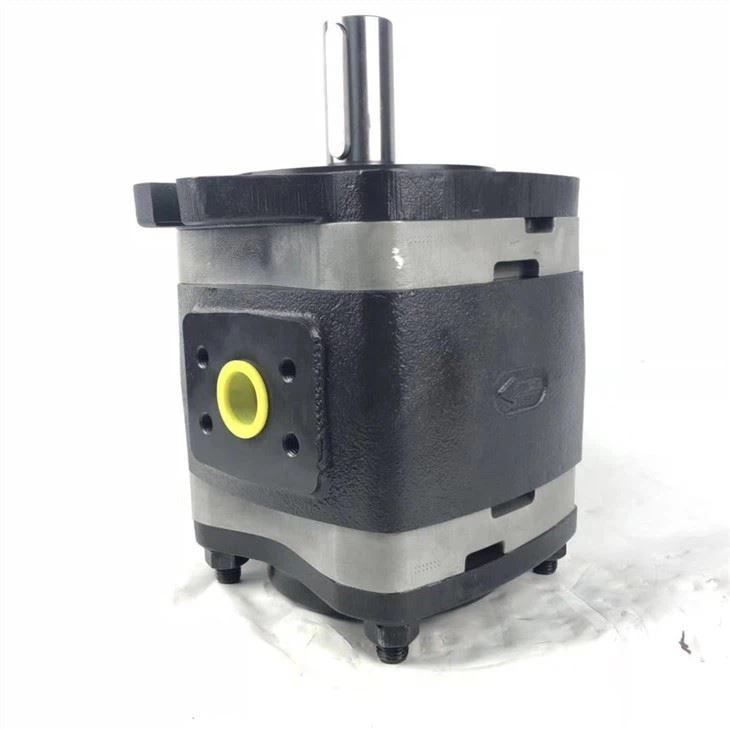 IPVAP5 Germany IPV IPVAP 5-50-101 Series Hydraulic Internal Gear Pump Oil Pump
