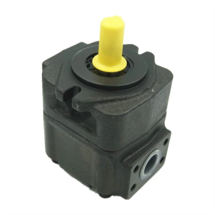 DVQ20-14-F-RAB-02 (5)